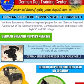 German Shepherd Pups For Sale Near ME: German Shepherd Pups For Sale Near ME